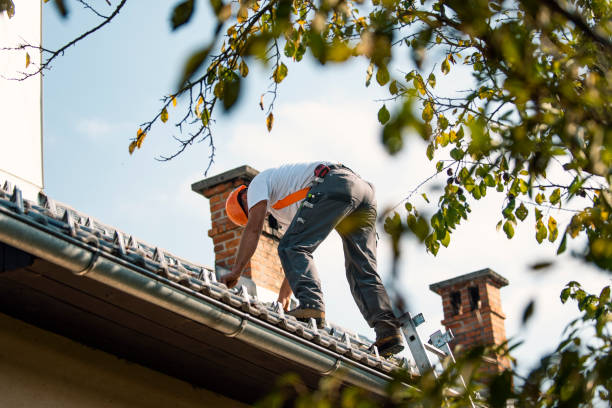 Best Commercial Roofing Services  in Lowell, MI