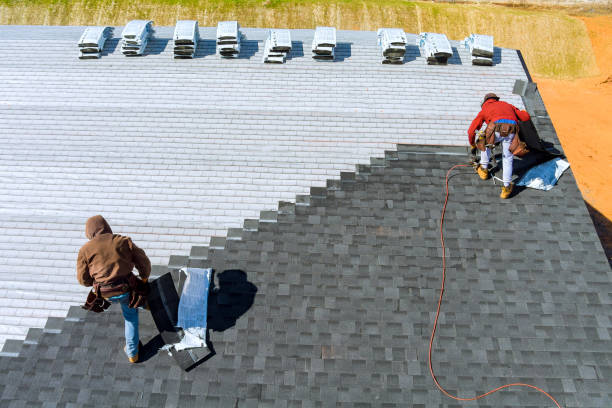 Best Roof Leak Repair  in Lowell, MI