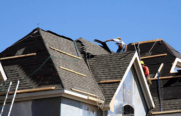Best Roof Gutter Cleaning  in Lowell, MI