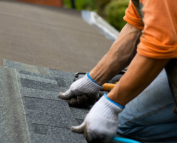 Best Best Roofing Contractors  in Lowell, MI